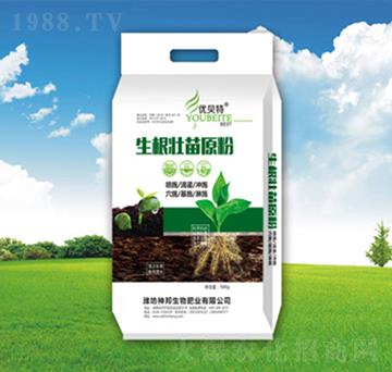 ��������ԭ��-�������