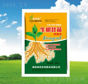 �������������`-�������