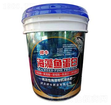 �����~����-��ţ�ʘI(y��)