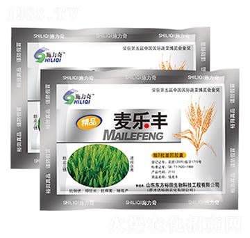 �����S-ԣ��߿�