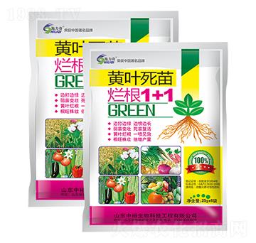 �S�~���砀��1+1-ʩ����-ԣ��߿�