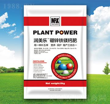 ���\�F�V�}��-�������