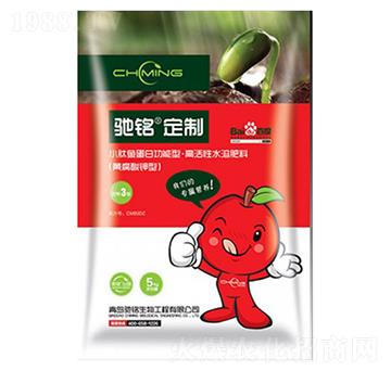 ���ٌ��÷ʡ��S�����-�Y�����