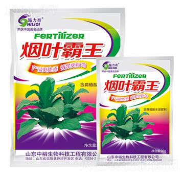 ���~����-ʩ����-ԣ��߿�