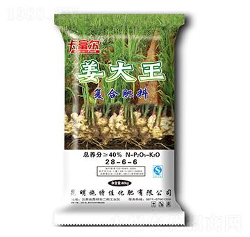 ��(f��)�Ϸ���28-6-6-������-ʩ�ؼ�