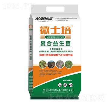 1000��΢ʿ�ࣨ�ͺ��������ͣ�-����