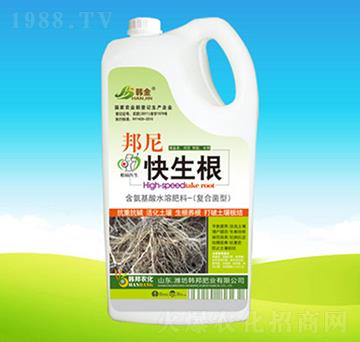 ���������-�n��ʘI(y��)