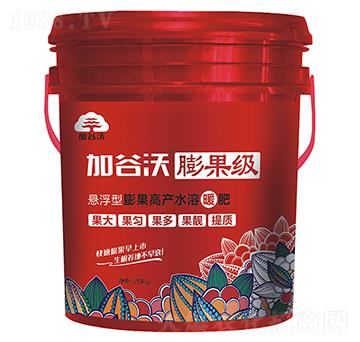 懸浮型膨果高產(chǎn)水溶暖肥-加谷沃膨果級