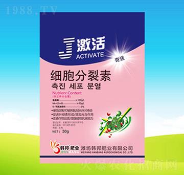 ����������-����-�n��ʘI(y��)