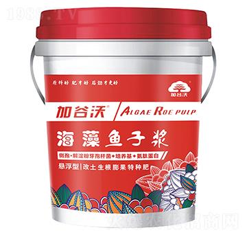 海藻魚子漿-加谷沃