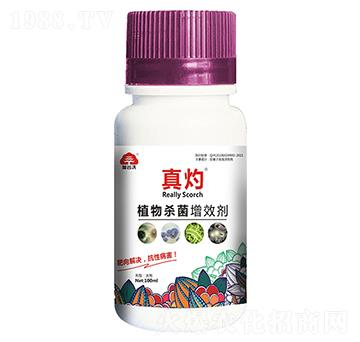 植物殺菌增效劑-真灼-加谷沃