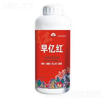 花色苷絡合物-早億紅-加谷沃