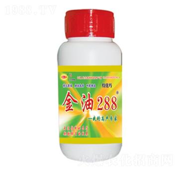 金油288-甜如蜜