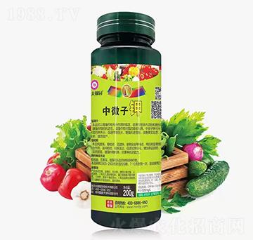 ��΢���-�r��ڈ@