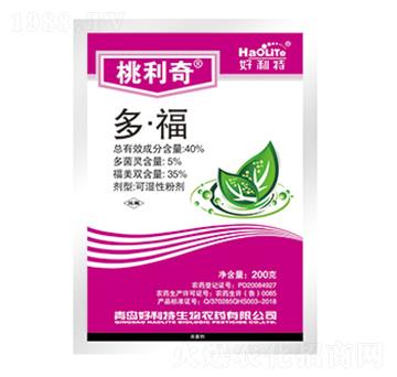 40%�ࡤ��-������-