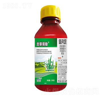 20%�����������`-��