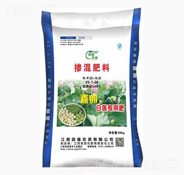 ��ɏ���Ó����21-7-20-�F������