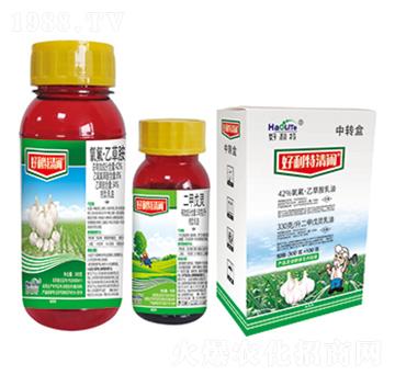 42%�������Ҳݰ�+3