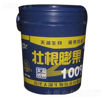 �Ѹ������-���