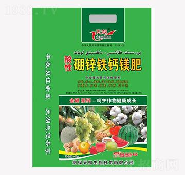 �������\�F�}�V��-���