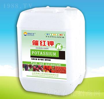 �߼t�-�ĺ��R�r(n��ng)