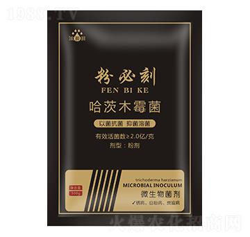 �۱ؿ̣�΢���������-��p�p-�������