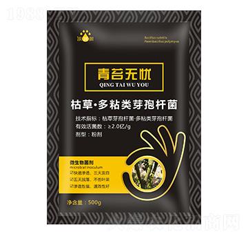 ��̦�o�n��΢���������-��p�p-�������