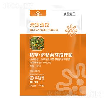 �����ٿأ�΢���������-��p�p-�������