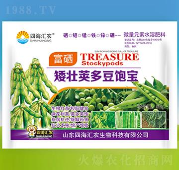 矮壯莢多豆飽寶-四海匯農(nóng)