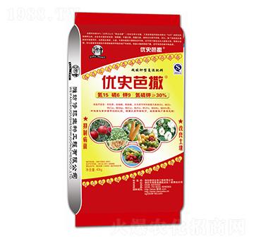 ������͏�(f��)�����15-6-9-��(y��u)ʷ����-����