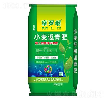 С�������-Ħ�_��-���A����