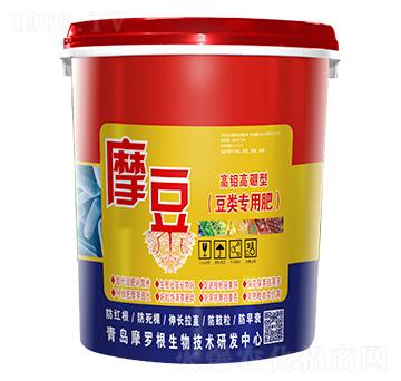 ���f�����Ͷ���÷�-Ħ��-���A����