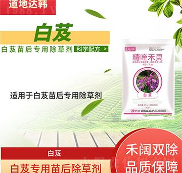 ��ܸ���݄�-��ܸ���-