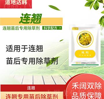 �B�N���݄�-�B�N���-