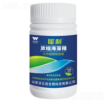 ��s���徫-Ϭ��-�֠���(y��u)