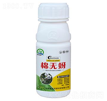 抗性蚜蟲專用菌劑-棉無(wú)蚜-強(qiáng)農(nóng)生物