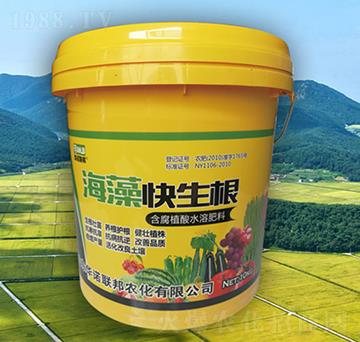 ���������-�A�Z(li��n)��