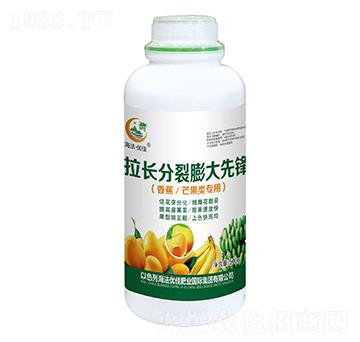 香蕉芒果類專用拉長分裂膨大先鋒-海法優(yōu)佳