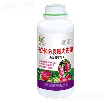 火龍果專(zhuān)用拉長(zhǎng)分裂膨大先鋒-海法優(yōu)佳