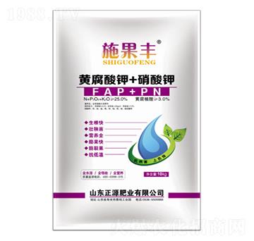 10kg�S�����+����