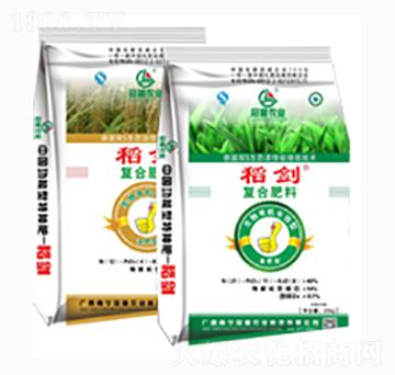 �����ײ�-�ڼZ