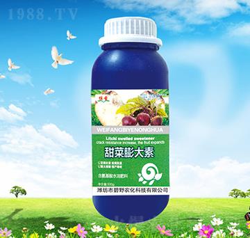 ��������-ֲʥ-��Ұ