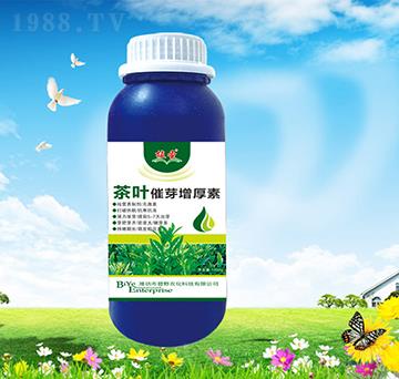 ���~��ѿ������-ֲʥ-