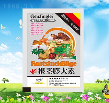 ���o�����-ֲʥ-��Ұ