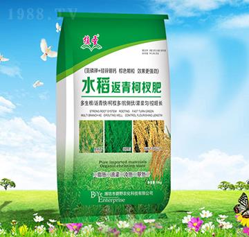 ˮ�������辷�-ֲʥ-