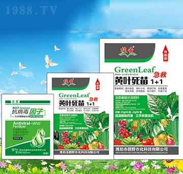 �S�~����1+1-ֲʥ-��Ұ�r(n��ng)��