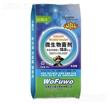 �ߏͺ�΢�������-�ָ���