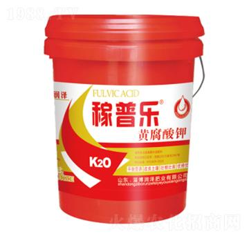 �S�����-���՘�(l��)-��(r��n)��