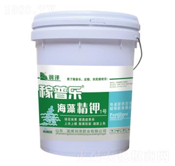 ���徫�1̖(h��o)-���՘�(l��)-