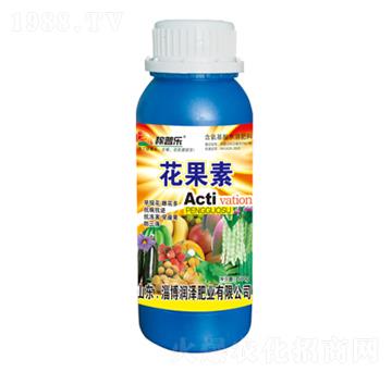 ������-���՘�(l��)-��(r��n)�ɷ�